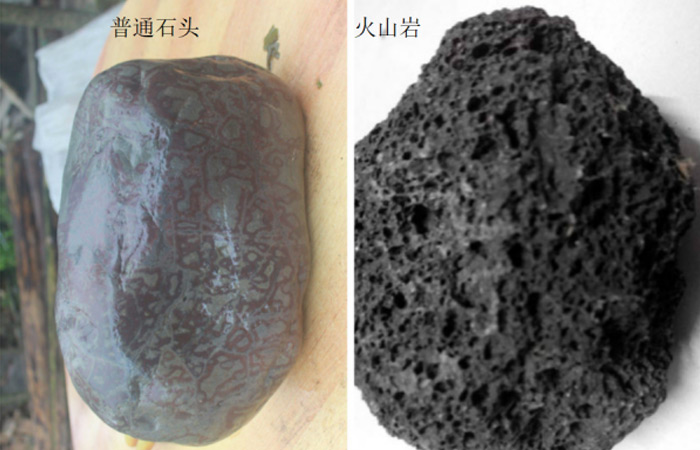 火山巖和普通石頭對(duì)比.jpg